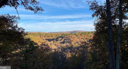 1016 Moonshine Hollow Rd, Lost City, WV 26810-8493