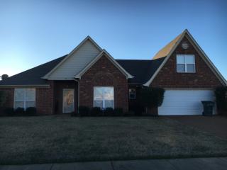 5021 Winberry Cv, Lakeland, TN 38002-8945