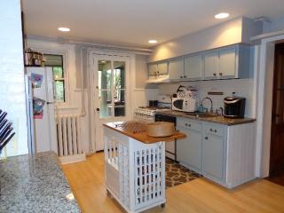 68 Chestnut St, Albany, NY 12210-1902