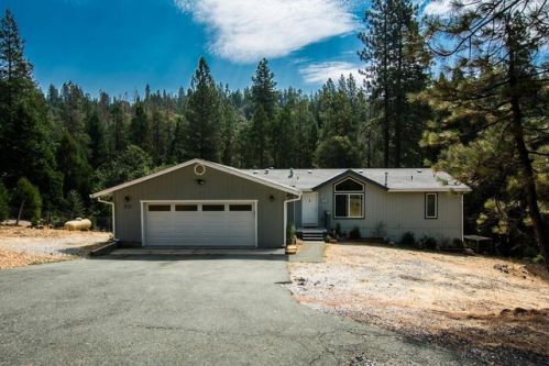 19640 Pine Dr, Volcano, CA 95689-9799