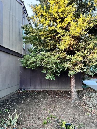 362 Tabor Ave, Fairfield CA 94533-8410 exterior