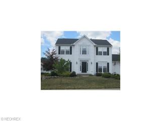 568 Pebblestone Ct, Wadsworth, OH 44281-8199