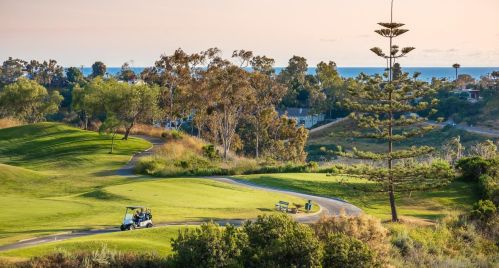 1355 Ravean Ct, Encinitas CA  92024-6204 exterior