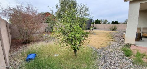 11951 Cocopah St, Avondale AZ  85323-8193 exterior