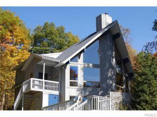 54 Miller Hill Woods Ct, Kent Lakes, NY 10512-3311