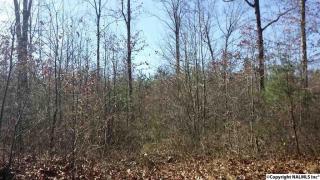 381 Roberts Rd, Henagar, AL 35978-6129