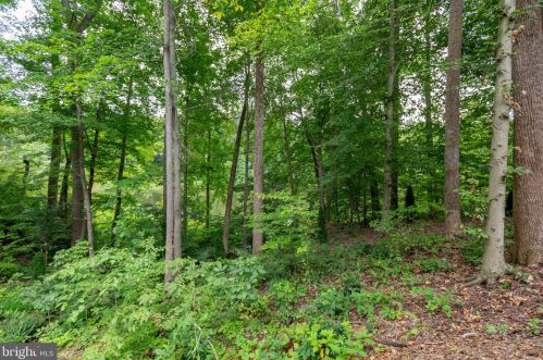 8497 Colfax Dr, Owens VA  22485-7162 exterior