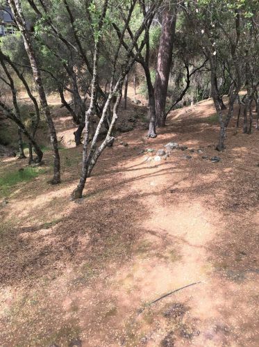 17806 Jayhawk Dr, Lake Wildwood CA  95946-9215 exterior