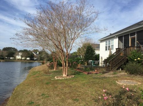 2649 Magnolia Woods Dr, Mount Pleasant SC  29464-7409 exterior