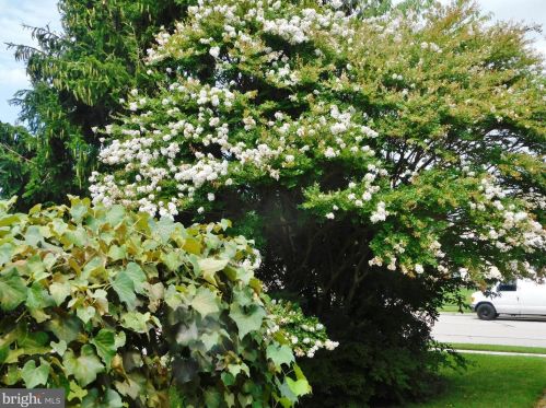 243 Lincoln Dr, Hanover PA 17331-4946 exterior