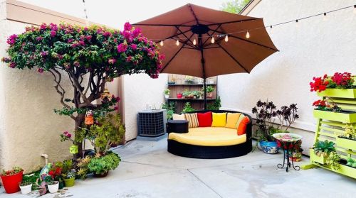 2932 Cottonwood St, Orange CA 92865-1235 exterior