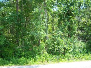 78 Turner Gate Rd, Pamplico, SC 29583