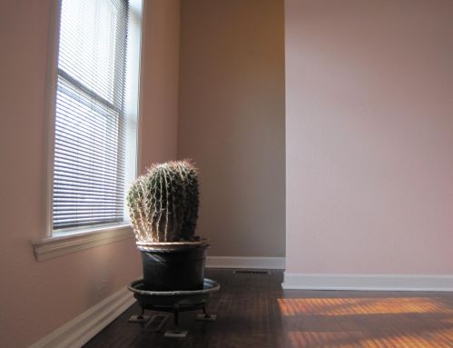 806 25 Ave, Minneapolis MN 55427-3415 exterior