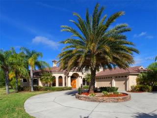 6906 River Birch Ct, Bradenton, FL 34202-4055
