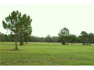 32652 Webbs Way, Mount Plymouth, FL 32776-9562