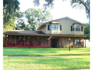 1002 Kingsborough Gardens Ct, Lutz, FL 33548-7939