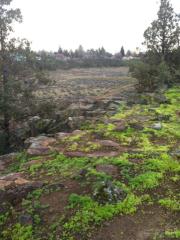 878 13th St, Eagle Crest, OR 97756-2613