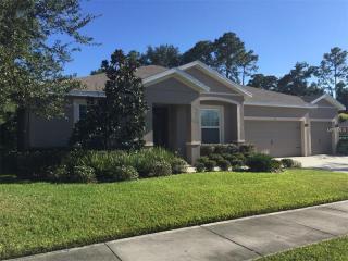 111 Sweet Birch Ln, Deland, FL 32724-8417