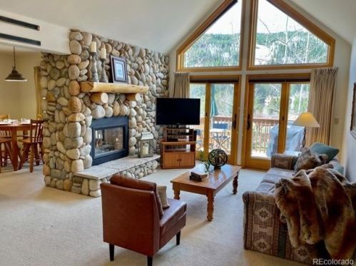 42 Snake River Rd, Montezuma, CO 80435-7796