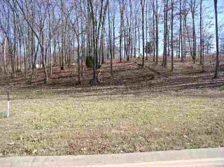 67 Fairway Dr, Benton, KY 42025-7542
