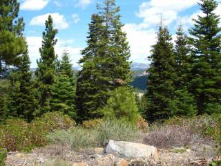 1717 Grouse Rdg, Truckee, CA 96161-4033