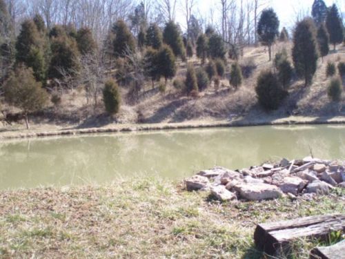 5585 Vaughn Ridge Rd, Lynx, OH