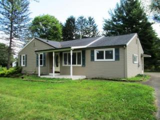 51 Mcfall Rd, South Apalachin, NY 13732-3717