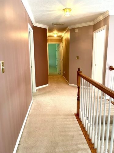 3320 Long Branch Dr, New Castle PA  16105-2926 exterior