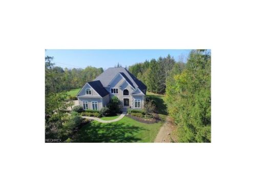 3688 Thomas Lincoln Pkwy, Medina, OH 44256-6925