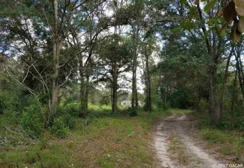 26122 46th Ave, Jonesville, FL 32669-2423