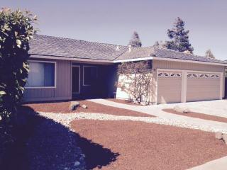 12 Haydon Ct, Belmont, CA 94002-2916