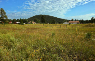 727 Skylane Rd, Pinetop, AZ