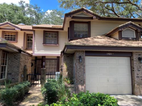 1484 Buckeye Ln, Palm Harbor, FL 34683-6504