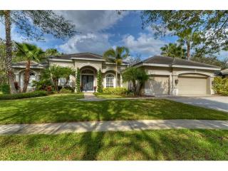 15104 Kestrelglen Way, Lithia, FL 33547-4820
