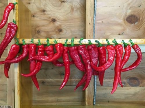 211 Seneca Pl, Westfield NJ  07090-4335 exterior