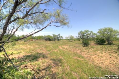 160 Private Road 6730, Devine, TX 78016-4416