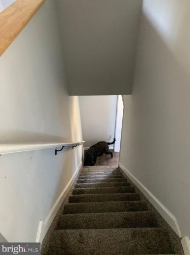 221 Monroeville Rd, Swedesboro NJ  08085-3450 exterior