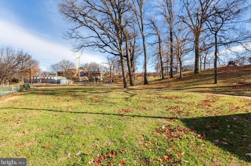 1117 Allison St, Washington DC  20011-4436 exterior