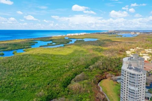 1001 Arbor Lake Dr, Naples FL  34110-7038 exterior