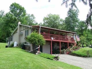 6210 Hammer Creek Rd, Canisteo, NY 14823-9765