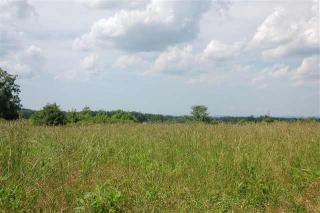 1989 Bear Creek Pt, Cookeville TN  38506-7142 exterior
