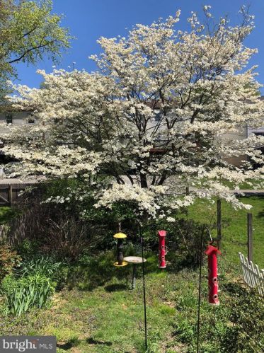 225 Ash Ln, Miquon PA 19444-2101 exterior