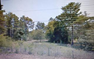 6485 Pine Meadow Ave, Homosassa, FL 34446-3205
