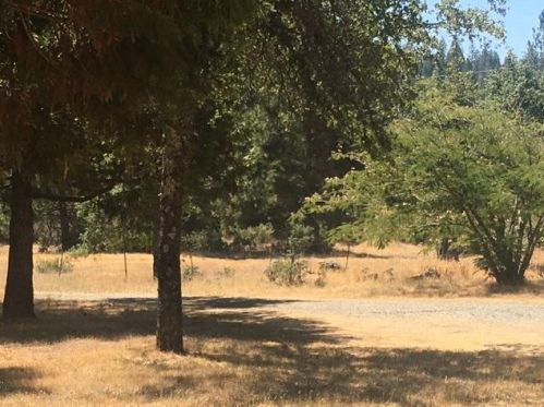 8883 Frenchtown Ext, Brownsville, CA 95919-9998
