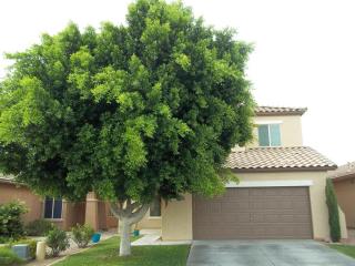 9112 Auburn St, Mesa, AZ 85207-7848