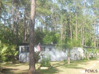 1165 Rosewood St, Bunnell, FL 32110-6737