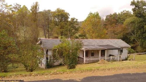 899 Plum Run Rd, Mannington, WV 26582-7289