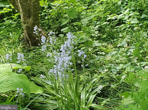 2861 Princeton Pike, Lawrence Township NJ  08648-3222 exterior