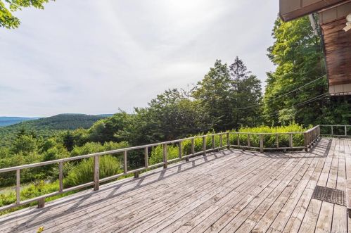 782 Anderson Rd, Parksville, NY 12768-6314