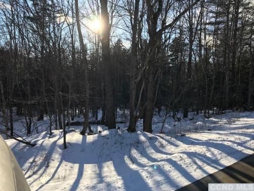 183 Olander Dr, Tannersville, NY 12424-5427